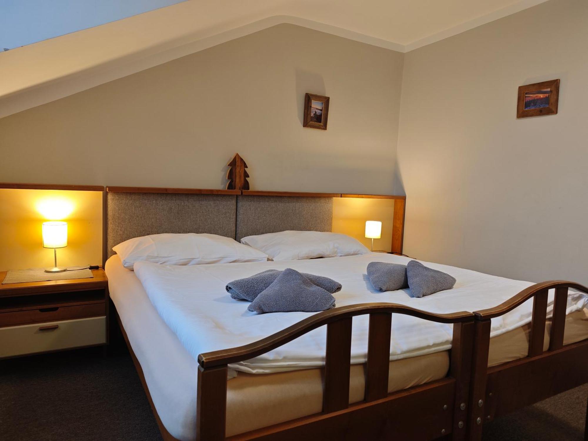 Hotel Stary Mlyn Jeseník Extérieur photo